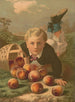 A young boy on the ground after falling with a basket of overturned peaches - Anonymous — artwork view