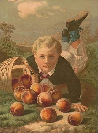 A young boy on the ground after falling with a basket of overturned peaches - Anonymous — artwork view
