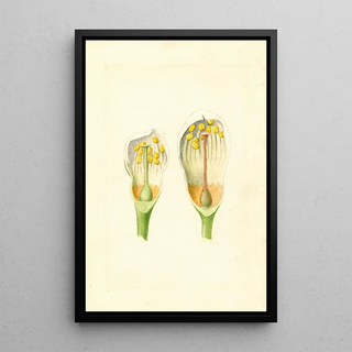 Unknown painting - Anonymous — framed artwork on a wall