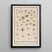 winged insects Leaf with thirty-eight winged insects Flies bees - Anselmus Botius de Boodt — framed artwork on a wall