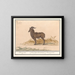 Alpine Ibex Painting - Anselmus Botius de Boodt — framed artwork on a wall