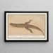Basilic Basilic Basiliscus Basiliscus Basiliscus Basilisque - Anselmus Botius de Boodt — framed artwork on a wall