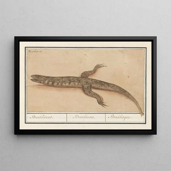 Basilic Basilic Basiliscus Basiliscus Basiliscus Basilisque - Anselmus Botius de Boodt — framed artwork on a wall