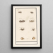 Reproduction of the painting Leaf with eight crustaceans and mollusks - Anselmus Botius de Boodt