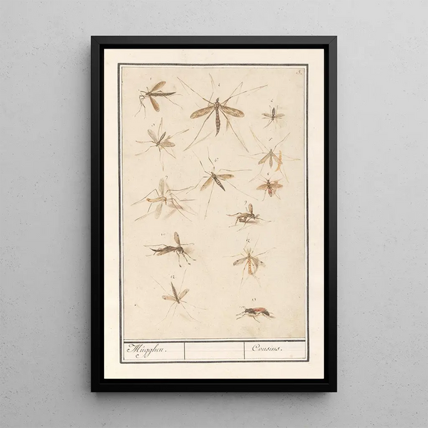 Reproduction of the painting Leaf with Thirteen Mosquitoes - Anselmus Botius de Boodt