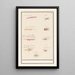 Leaf with nine crustaceans and mollusks - Anselmus Botius de Boodt — framed artwork on a wall