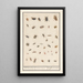 Reproduction of the painting Leaf with thirty-nine insects - Anselmus Botius de Boodt