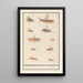 Leaf with ten grasshoppers - Anselmus Botius de Boodt — framed artwork on a wall