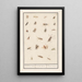 Reproduction of the painting Leaf with twenty-two winged insects - Anselmus Botius de Boodt