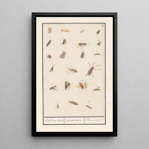 Reproduction of the painting Leaf with twenty-two winged insects - Anselmus Botius de Boodt