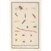 Reproduction of the painting Leaf with various insects and spiders - Anselmus Botius de Boodt