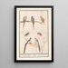 Leaf with seven tropical birds - Anselmus Botius de Boodt — framed artwork on a wall
