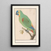 Amazon River Painting with Blue Front - Anselmus Botius de Boodt — framed artwork on a wall