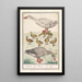 Domestic Goose - Anselmus Botius de Boodt — framed artwork on a wall
