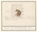 Coati - Anselmus Botius de Boodt — artwork view
