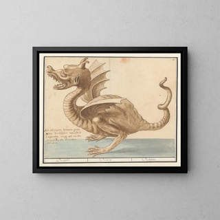 Dragon - Anselmus Botius de Boodt — framed artwork on a wall