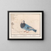 Dove of Pigeons - Anselmus Botius de Boodt — framed artwork on a wall