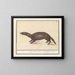 Ferret - Anselmus Botius de Boodt — framed artwork on a wall