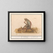 Suricate green Chlorocebus sabaeus Callitrix Callitriche - Anselmus Botius de Boodt — framed artwork on a wall