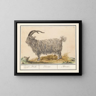 Bouc - Anselmus Botius de Boodt — framed artwork on a wall