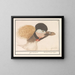 Grey Crowned Crane - Anselmus Botius de Boodt — framed artwork on a wall