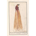 the Great Bird of Paradise Paradisaea apoda - Anselmus Botius de Boodt — artwork view