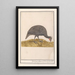 Guinea fowl of Numidia Numida meleagris - Anselmus Botius de Boodt — framed artwork on a wall