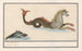 Hippocampe et autres animaux fantastiques 1 Cheval de mer 2 Poisson brun - Anselmus Botius de Boodt — artwork view