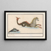 Hippocampe et autres animaux fantastiques 1 Cheval de mer 2 Poisson brun - Anselmus Botius de Boodt — framed artwork on a wall