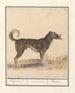 Family of Wolves Hond Canis HofHond Molossus Mtin - Anselmus Botius de Boodt — artwork view