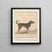 Family of Wolves Hond Canis HofHond Molossus Mtin - Anselmus Botius de Boodt — framed artwork on a wall