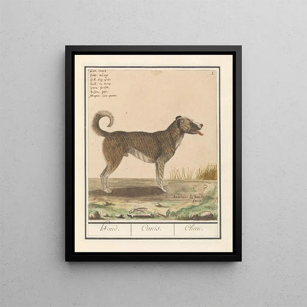Hond is a familiar dog-wolf - Anselmus Botius de Boodt — framed artwork on a wall