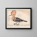 Huppe - Anselmus Botius de Boodt — framed artwork on a wall