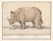 Indian Rhinoceros Painting - Anselmus Botius de Boodt — artwork view