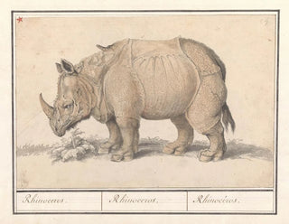 Indian Rhinoceros Painting - Anselmus Botius de Boodt — artwork view