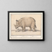 Indian Rhinoceros Painting - Anselmus Botius de Boodt — framed artwork on a wall