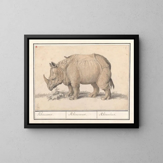 Indian Rhinoceros Painting - Anselmus Botius de Boodt — framed artwork on a wall