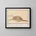 Chameleon genuine - Anselmus Botius de Boodt — framed artwork on a wall