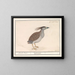 Heron cendré - Anselmus Botius de Boodt — framed artwork on a wall
