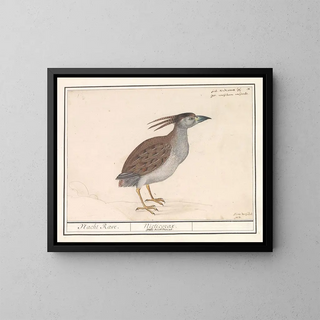 Heron cendré - Anselmus Botius de Boodt — framed artwork on a wall