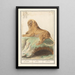 Reproduction of the painting Lion Panthera leo - Anselmus Botius de Boodt