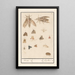 Reproduction of the painting Night butterflies and moths painting - Anselmus Botius de Boodt