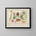 Ensemble naturaliste n° 3 - Anselmus Botius de Boodt — framed artwork on a wall