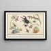 Natural History Set No. 13, Sheet of Mixture - Anselmus Botius de Boodt — framed artwork on a wall