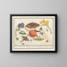 Natural history set no. 14 mixing sheet - Anselmus Botius de Boodt — framed artwork on a wall