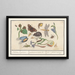 Natural History Set No. 15, 15 Mixing Sheets - Anselmus Botius de Boodt — framed artwork on a wall