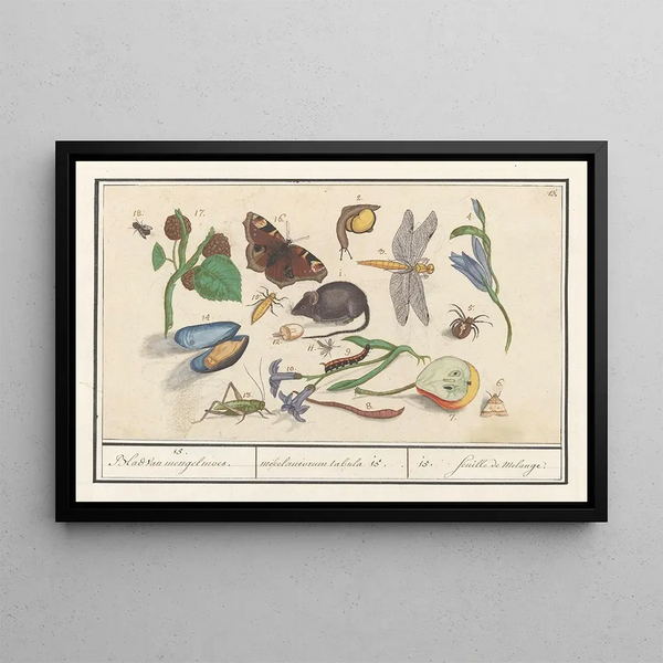 Natural History Set No. 15, 15 Mixing Sheets - Anselmus Botius de Boodt — framed artwork on a wall
