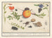 Natural History Set No. 16 Mixing Sheet - Anselmus Botius de Boodt — artwork view