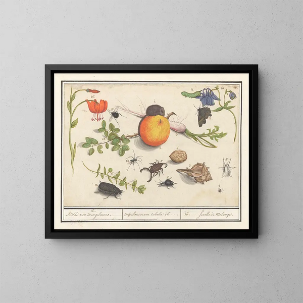 Natural History Set No. 16 Mixing Sheet - Anselmus Botius de Boodt — framed artwork on a wall