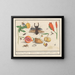 Natural History Set No. 1, First Sheet of Mixtures - Anselmus Botius de Boodt — framed artwork on a wall
